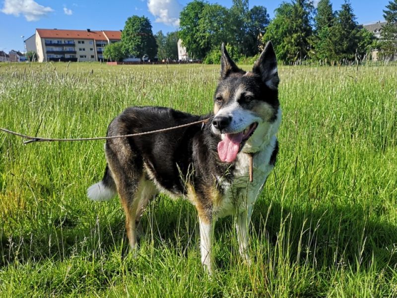 tier selb 0724 maya