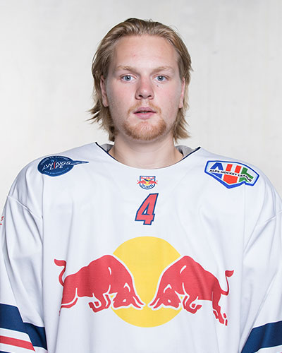 verselb zimmermann